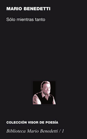 Sólo Mientras Tanto