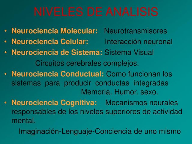 Niveles de análisis de la neurociencia cognitiva