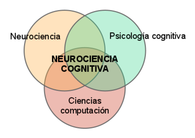 Neurociencia y Psicología cognitiva