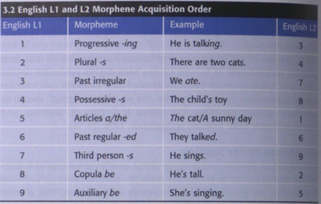 Morpheme Order Studies (Duley&Burt)