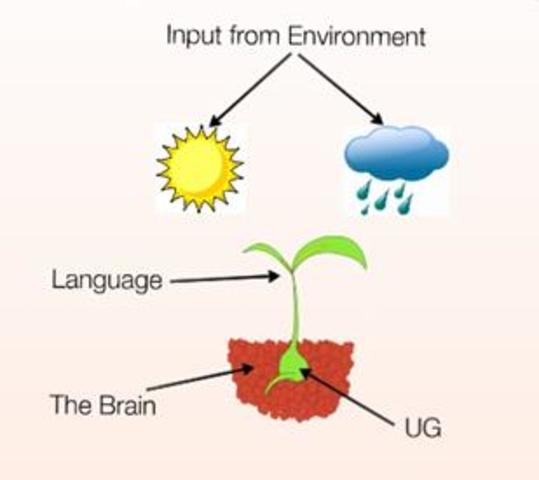 Universal Grammar (Chomsky)
