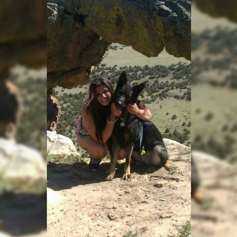 Got my first German Shepard (Ruger)