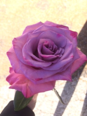 lost my greatgrandma