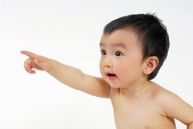 infant points and use preverbal gestures