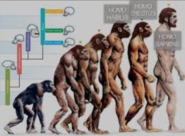 Early Civilizations and Homo Sapiens