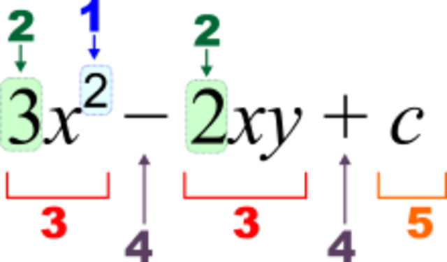 16th and 17th Century Developments in Algebra