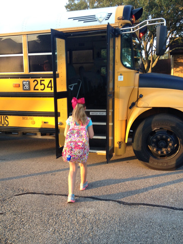 Howard S. vs. Friendswood Independent School District