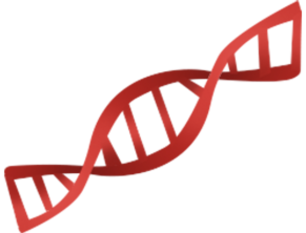 Primera  aparición del término gen