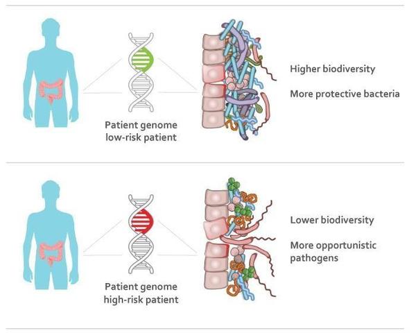 Genes causantes de enfermedades