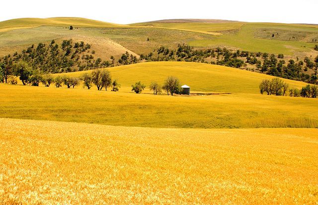 Winston And Julia  First Date