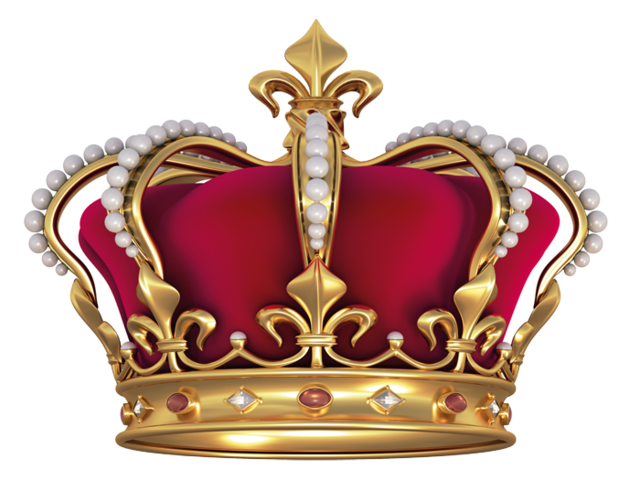 Results of the New Government