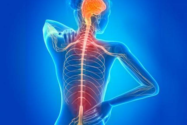 Día Nacional de la Esclerosis Múltiple