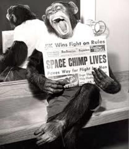 Ham, the first chimp to be launched in space