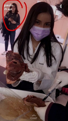 "Proyecto final de laboratorio"