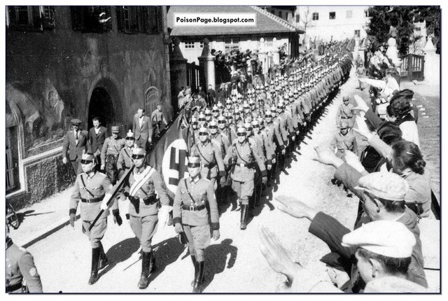 The Austrian Anschluss