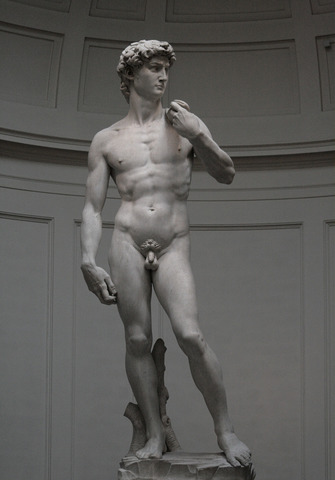 Michelangelo's David statue