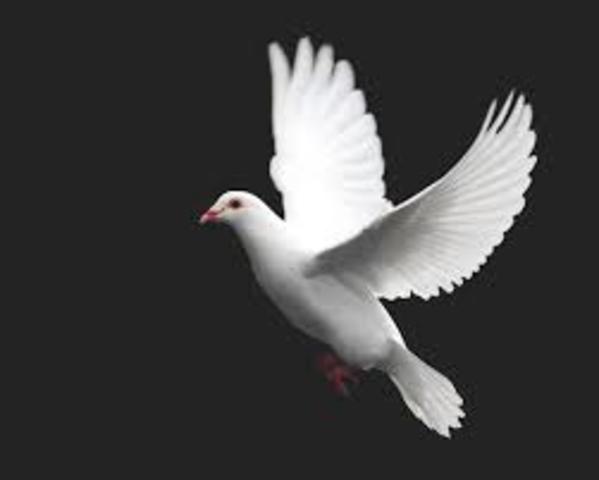 DIALOGO DE PAZ FALLIDO