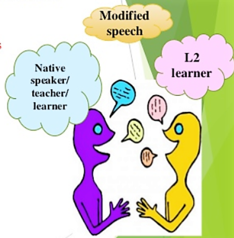 The Role of Input and Interaction in L2