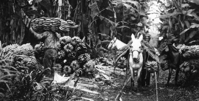 MASACRE DE LAS BANANERA