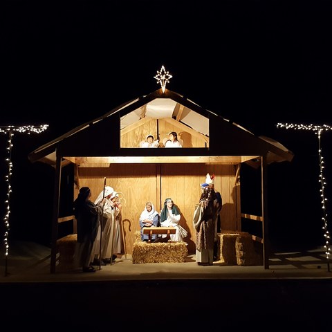 Live Manger