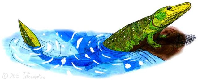 Colonización terrestre