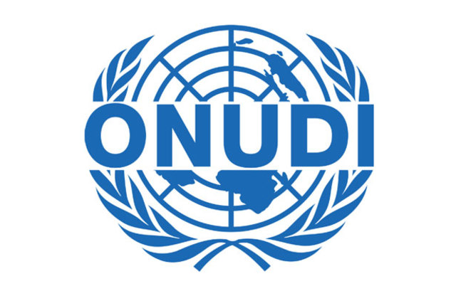 Organización de las Naciones Unidas para el Desarrollo Industrial