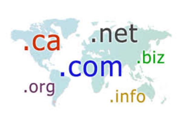 SE INTRODUCEN LOS DOMINIOS