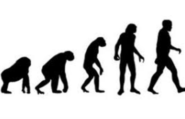 Charles Darwins Theory of Evolution