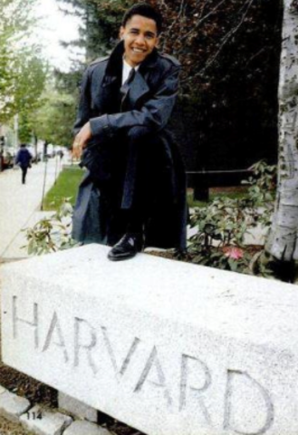 Begins studying at Harvard