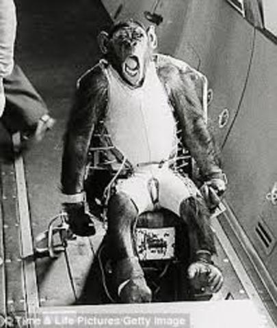 Ham, the first chimp to be launched into space