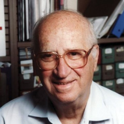 La forma de las enzimas