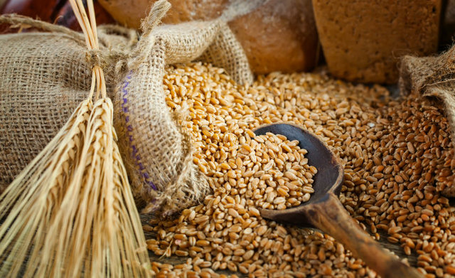 Prestamos de grano y plata