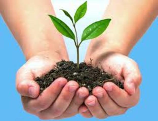 UE crea primera directriz sobre Protección Ambiental