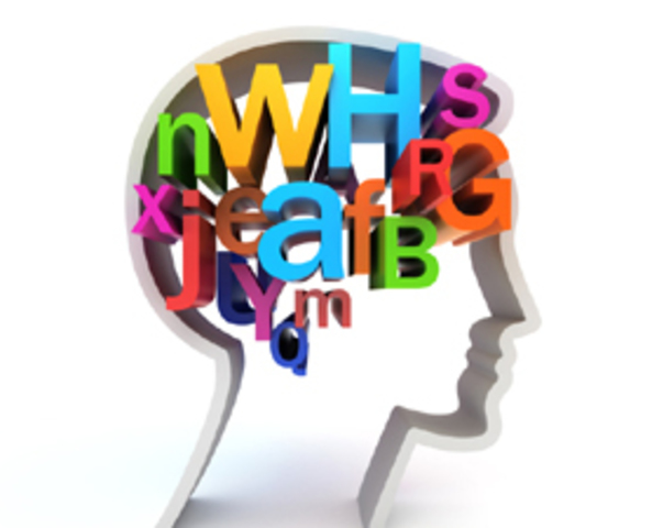 LAD/Universal Grammar (Chomsky 1957, 1959, 1965, 1985)