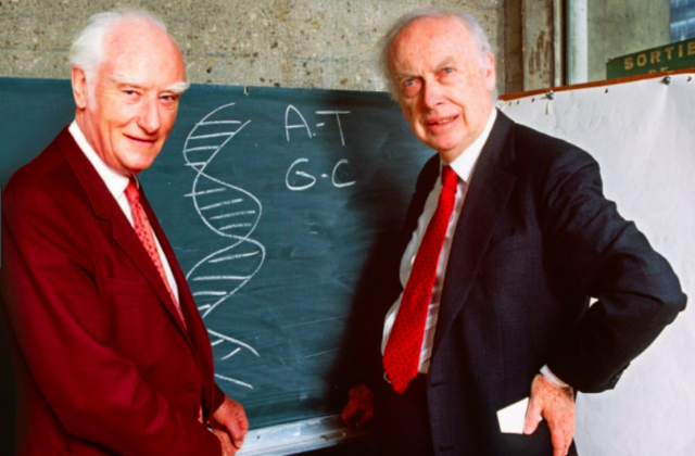 James Watson y Francis Crick