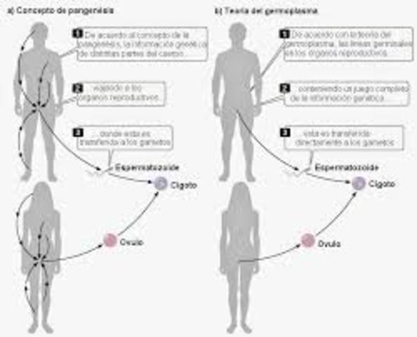 Teoria de la herencia