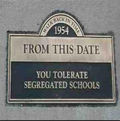 Illegal segregation in public schools