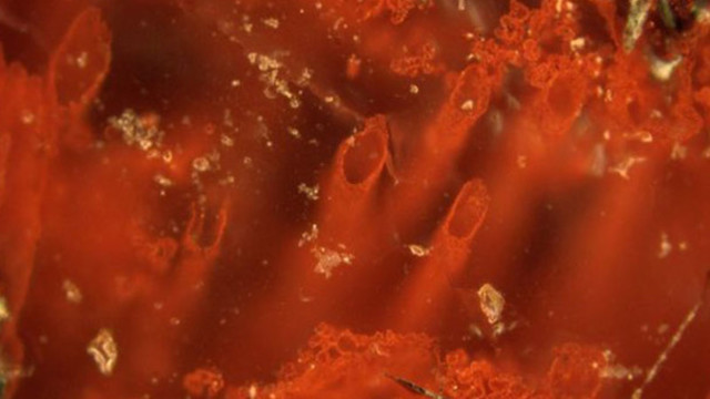 Hace 3.770 millones de años