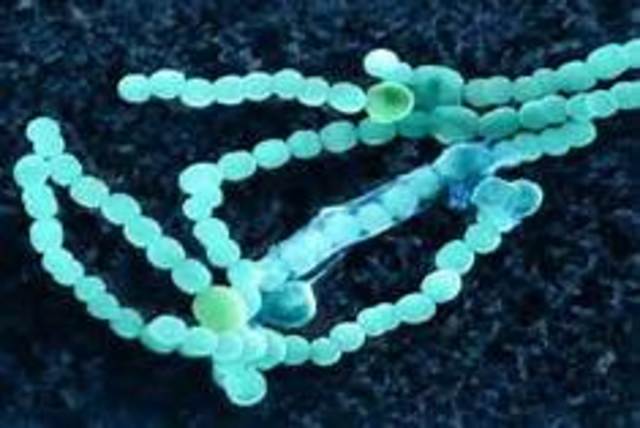 Hace 3.400 millones de años