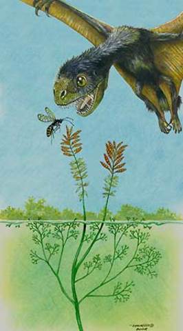 AVES Y PLANTAS ANGIOSPERMAS