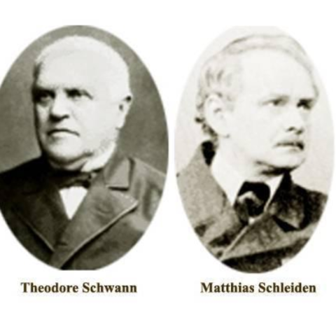 Matthias Schleiden y Theodor Schwann