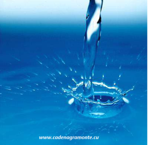 La entrada de compañías francesas al mercado mundial