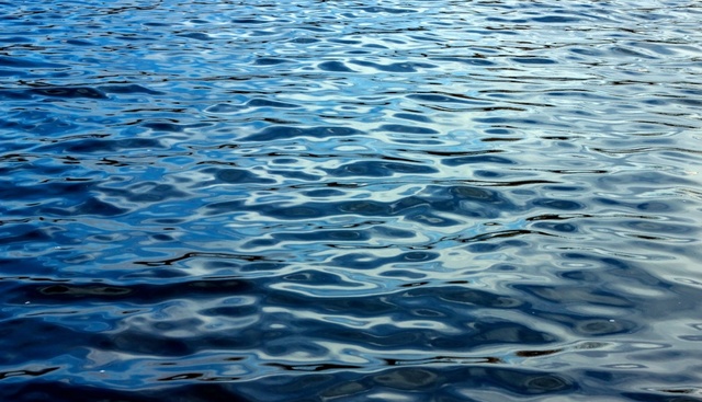 DEL AGUA A LA TIERRA