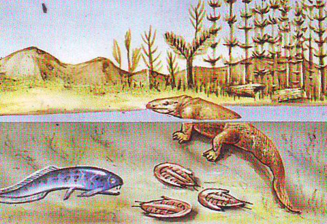 El tránsito de la vida del agua a la tierra firme