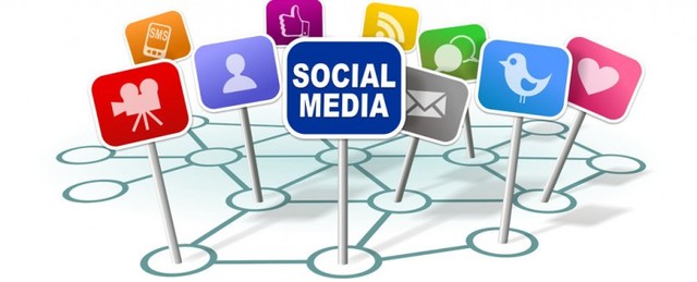 Período de socialización