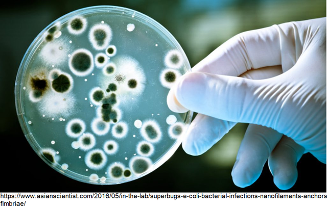 Uso del control microbiológico en sistemas de enfriamiento.