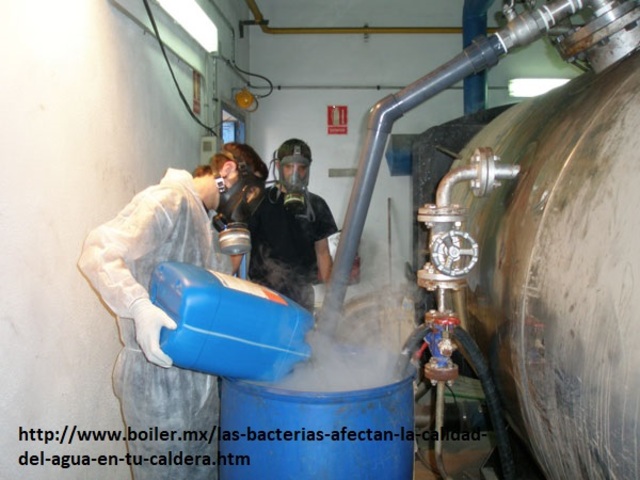 Se reemplazan los químicos basados en cloro.