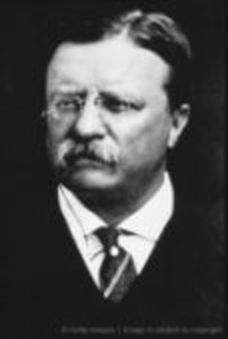 T. Roosevelt Presidency