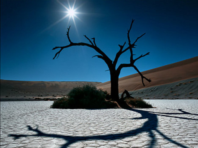 2011 Participacion del PIB