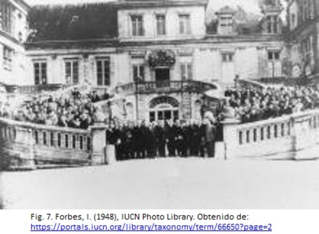 Se crea oficialmente la Unión Internacional Provisional para la Protección de la Naturaleza (Pierri, s.f.).